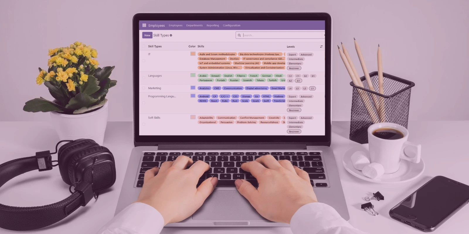 Cara Memakai Skill Types (Tipe Keahlian) Karyawan di Odoo