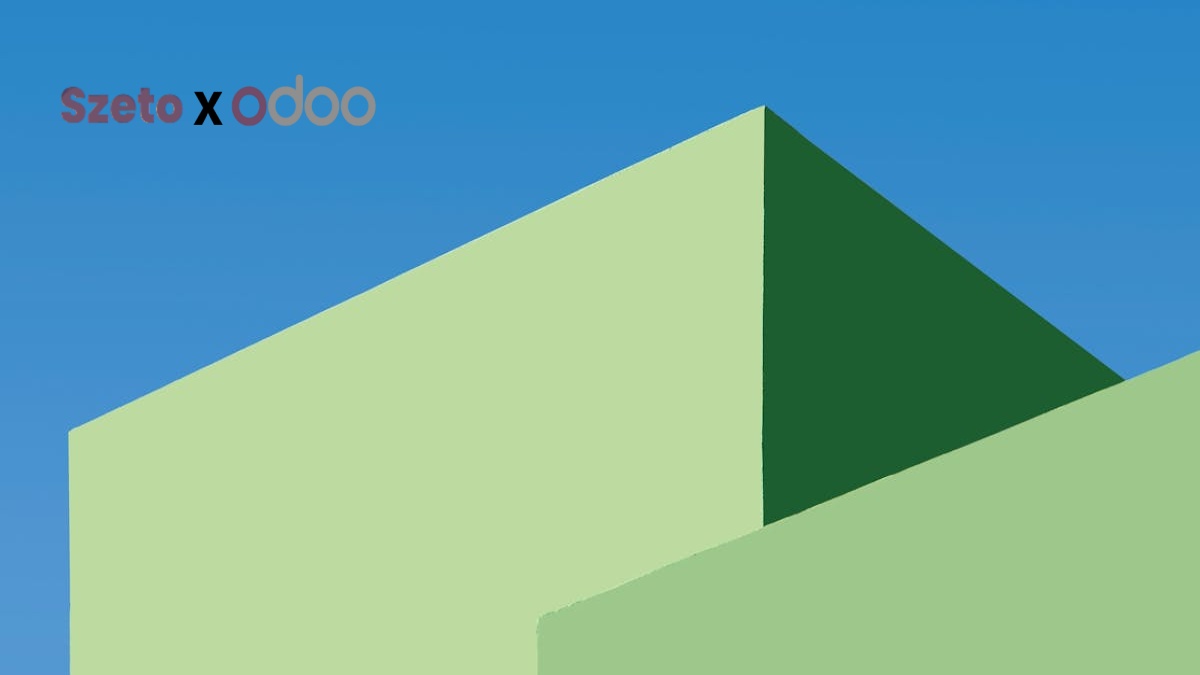 Memahami Peran Developer Odoo dalam Transformasi Bisnis ERP Anda