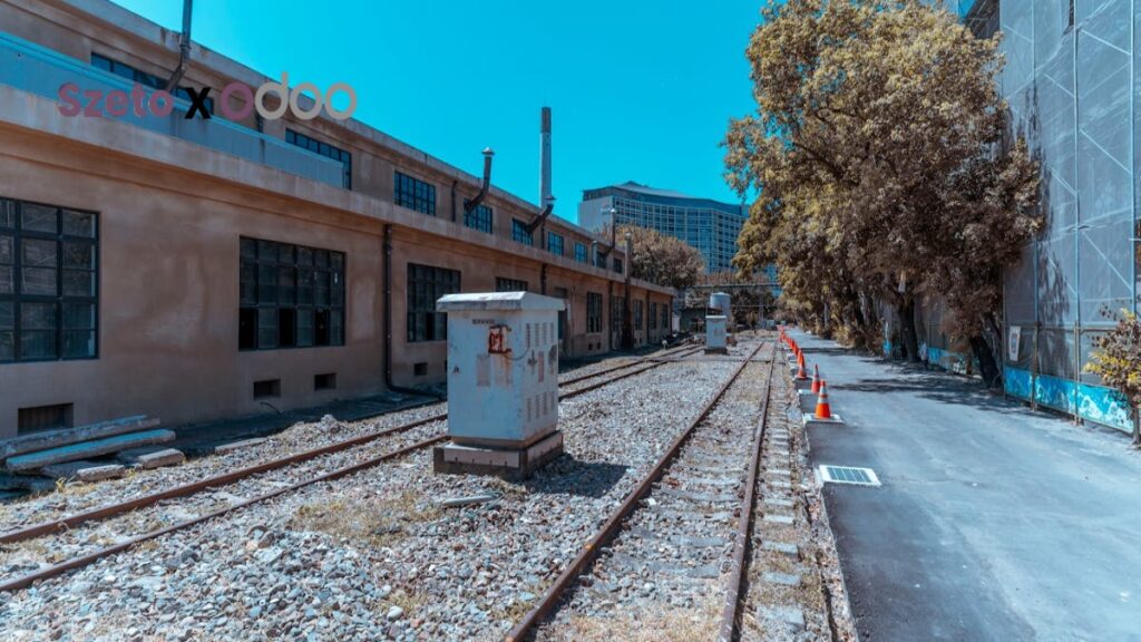 Jalur Karir Odoo ERP: Peluang dan Pengembangan Profesional