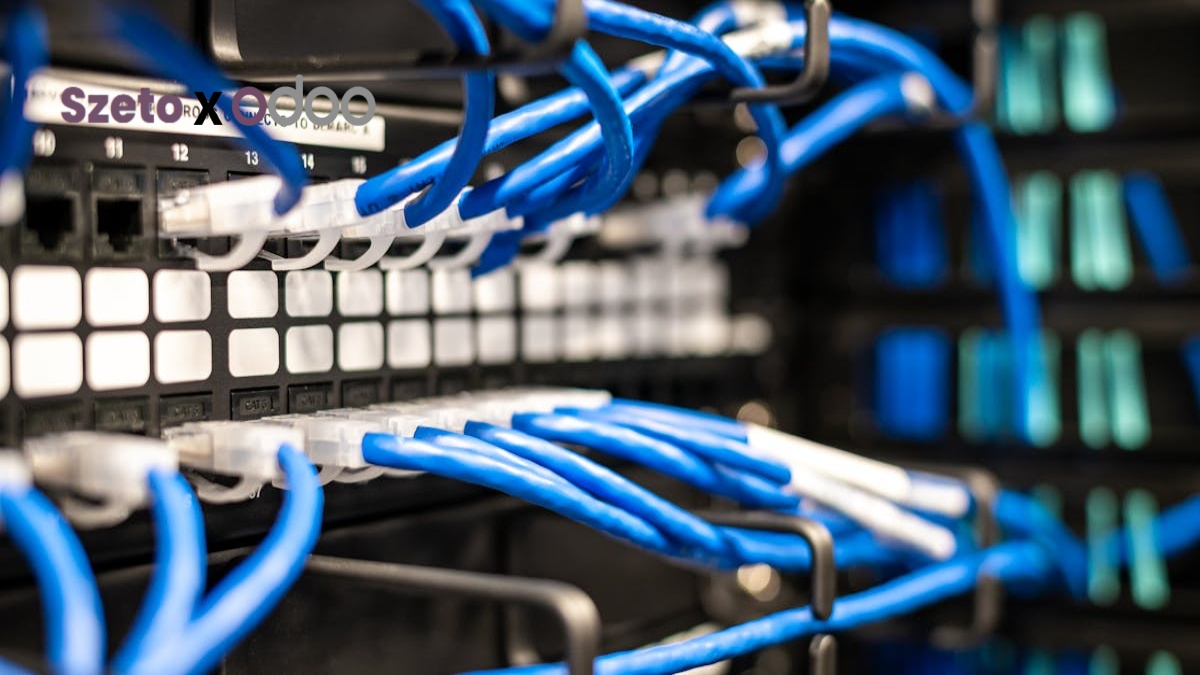 Odoo Gratis? Memahami Model Biaya Odoo ERP