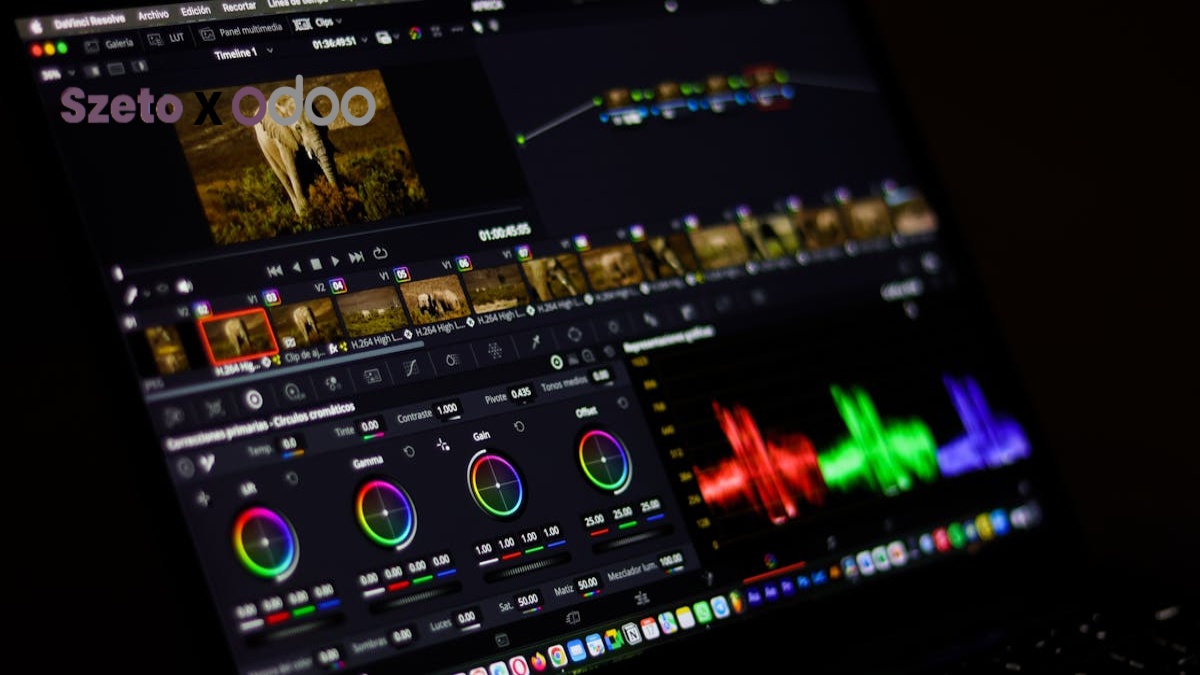 Mendalami db filter Odoo: Kunci Efisiensi Data ERP Anda