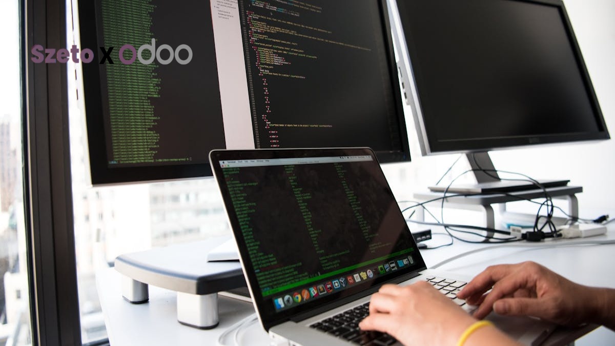 Mengoptimalkan Data Bisnis dengan Fields Odoo ERP