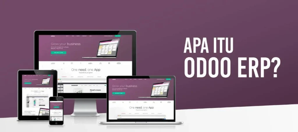 Apa Itu Odoo